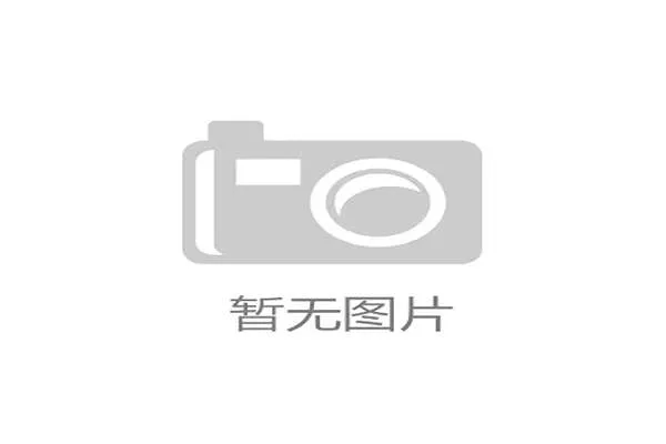 阿尔及利亚世界杯焦点人物观察