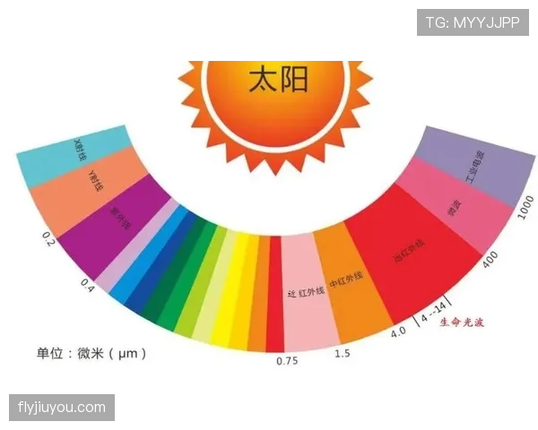 深入解析篮球规则：八秒违例的定义、判定标准与影响